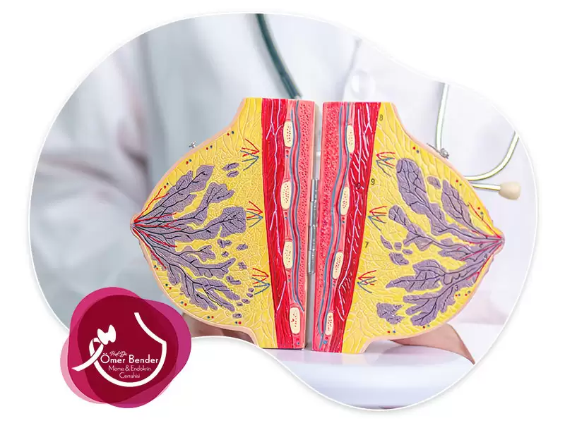 İntraduktal Papillom Tanı Yöntemleri