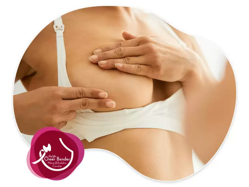 Meme Başı Akıntısı